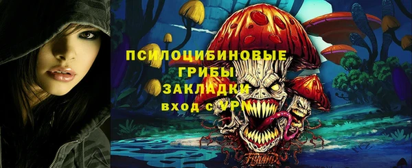 a pvp Белокуриха