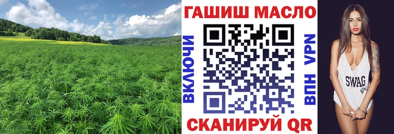 omg сайт  сколько стоит  Кудрово  Дистиллят ТГК жижа 